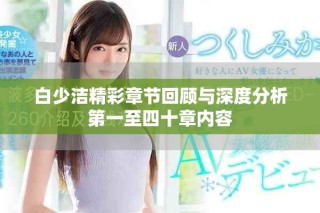 白少潔精彩章節(jié)回顧與深度分析第一至四十章內(nèi)容