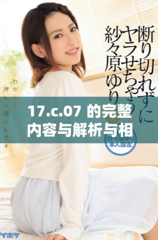 17.c.07 的完整內容與解析與相關信息匯總