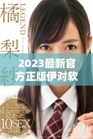 2023最新官方正版伊對軟件免費下載與安裝指南