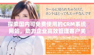 探索國內(nèi)可免費(fèi)使用的CRM系統(tǒng)網(wǎng)站，助力企業(yè)高效管理客戶關(guān)系