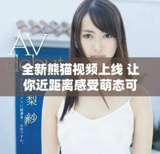 全新熊貓視頻上線 讓你近距離感受萌態可掬的熊貓生活