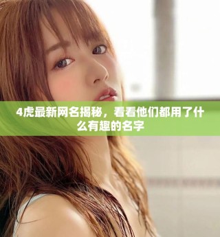 4虎最新網(wǎng)名揭秘，看看他們都用了什么有趣的名字