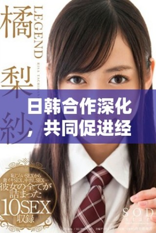 日韓合作深化，共同促進經濟與文化發展新機遇