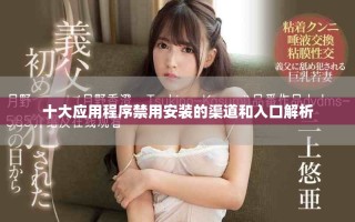 十大應用程序禁用安裝的渠道和入口解析