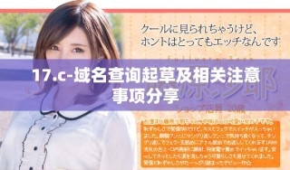 17.c-域名查詢起草及相關注意事項分享