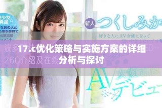 17.c優(yōu)化策略與實(shí)施方案的詳細(xì)分析與探討