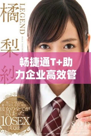 暢捷通T+助力企業高效管理創新業務流程提升競爭力
