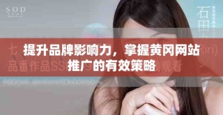 提升品牌影響力，掌握黃岡網站推廣的有效策略
