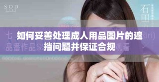 如何妥善處理成人用品圖片的遮擋問題并保證合規