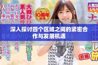 深入探討四個(gè)區(qū)域之間的緊密合作與發(fā)展機(jī)遇
