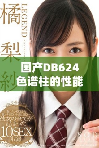 國產DB624色譜柱的性能特點與應用領域探索