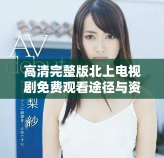 高清完整版北上電視劇免費觀看途徑與資源分享