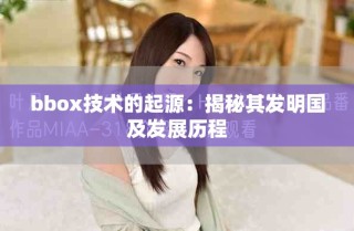 bbox技術(shù)的起源：揭秘其發(fā)明國(guó)及發(fā)展歷程