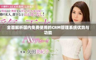 全面解析國(guó)內(nèi)免費(fèi)使用的CRM管理系統(tǒng)優(yōu)勢(shì)與功能