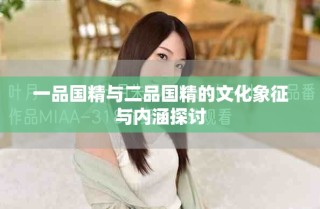 一品國精與二品國精的文化象征與內涵探討