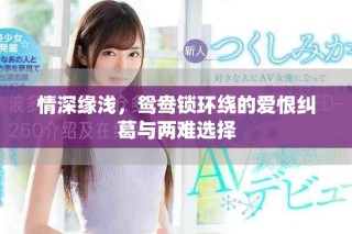 情深緣淺，鴛鴦鎖環繞的愛恨糾葛與兩難選擇