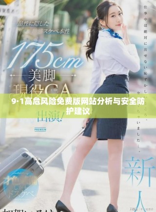 9·1高危風(fēng)險(xiǎn)免費(fèi)版網(wǎng)站分析與安全防護(hù)建議