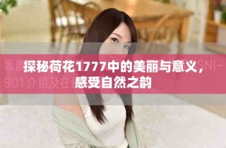 探秘荷花1777中的美麗與意義，感受自然之韻