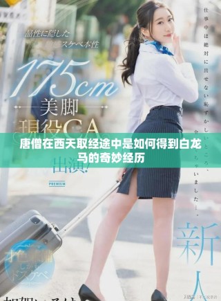 唐僧在西天取經途中是如何得到白龍馬的奇妙經歷