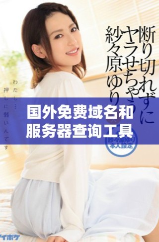 國外免費域名和服務器查詢工具推薦及使用指南