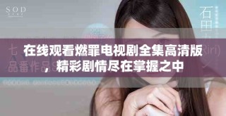 在線觀看燃罪電視劇全集高清版，精彩劇情盡在掌握之中