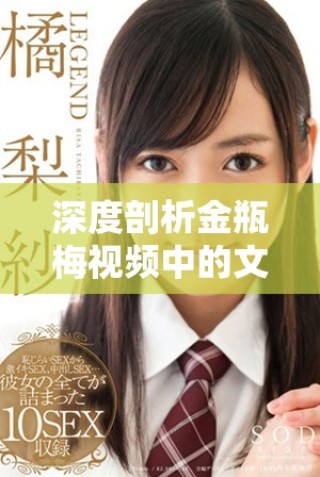 深度剖析金瓶梅視頻中的文化內涵與藝術表現形式
