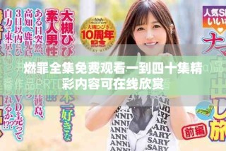 燃罪全集免費觀看一到四十集精彩內容可在線欣賞