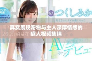 真實展現寵物與主人深厚情感的感人視頻集錦