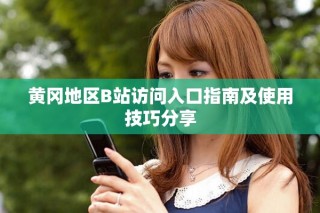 黃岡地區(qū)B站訪問入口指南及使用技巧分享