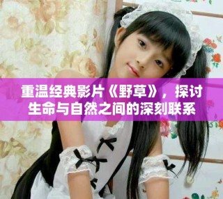 重溫經典影片《野草》，探討生命與自然之間的深刻聯系