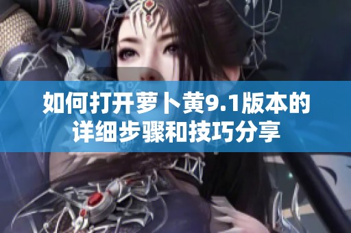 如何打開蘿卜黃9.1版本的詳細步驟和技巧分享