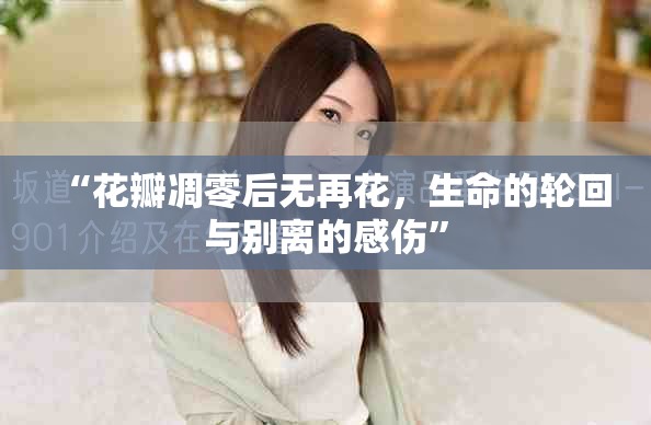 “花瓣凋零后無再花，生命的輪回與別離的感傷”