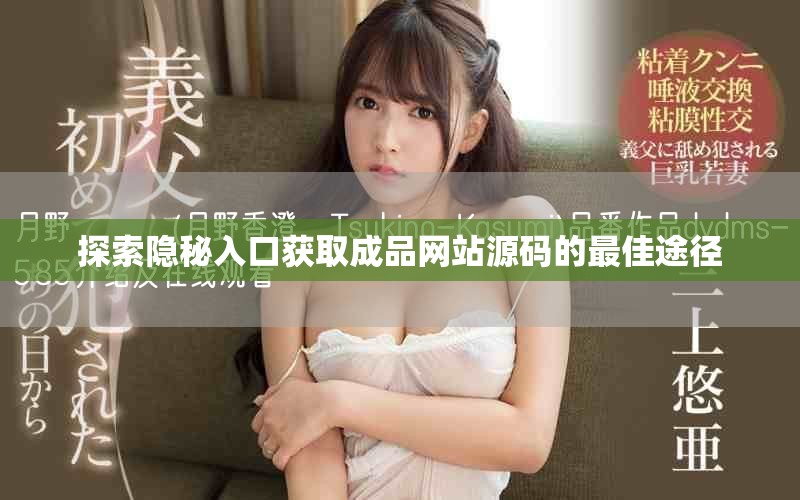 探索隱秘入口獲取成品網站源碼的最佳途徑