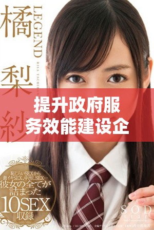 提升政府服務(wù)效能建設(shè)企業(yè)與公眾信任的高效平臺