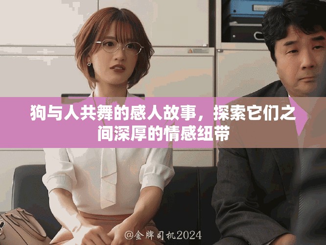 狗與人共舞的感人故事，探索它們之間深厚的情感紐帶