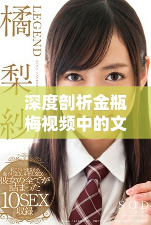 深度剖析金瓶梅視頻中的文化內涵與藝術表現形式