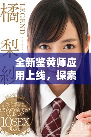 全新鑒黃師應用上線，探索網絡內容安全的新方式與新技術