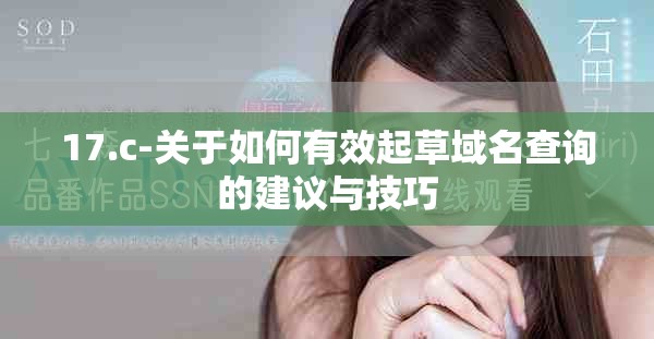 17.c-關于如何有效起草域名查詢的建議與技巧