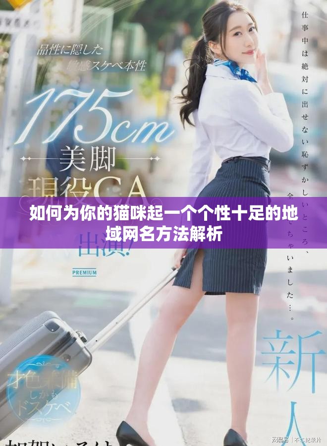 如何為你的貓咪起一個個性十足的地域網名方法解析
