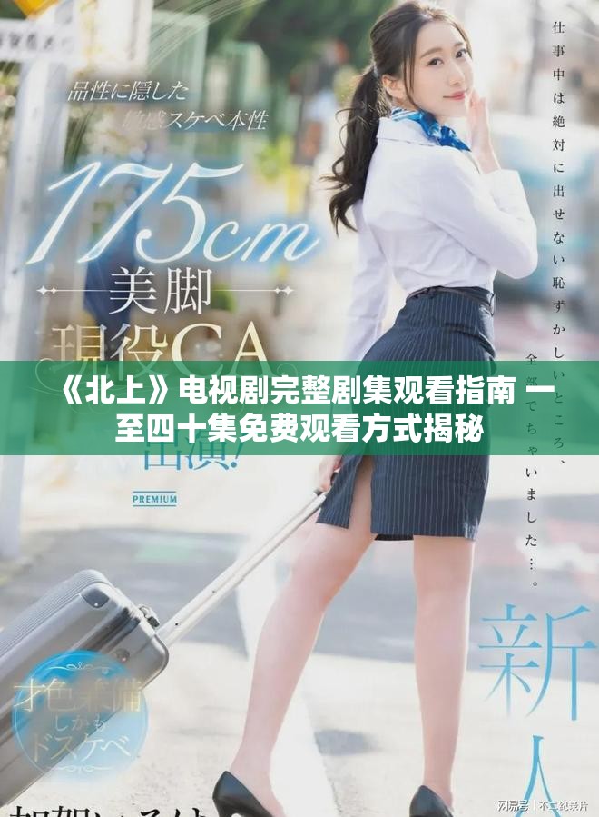 《北上》電視劇完整劇集觀看指南 一至四十集免費觀看方式揭秘
