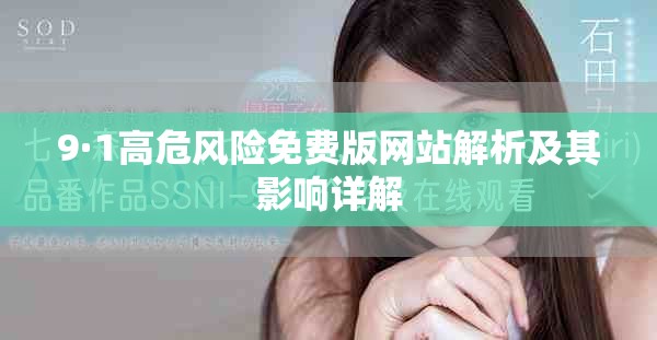9·1高危風險免費版網站解析及其影響詳解