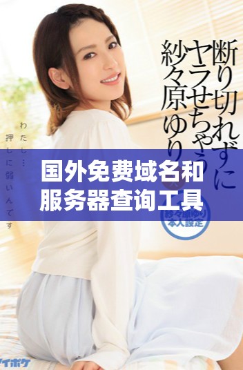 國外免費域名和服務器查詢工具推薦及使用指南