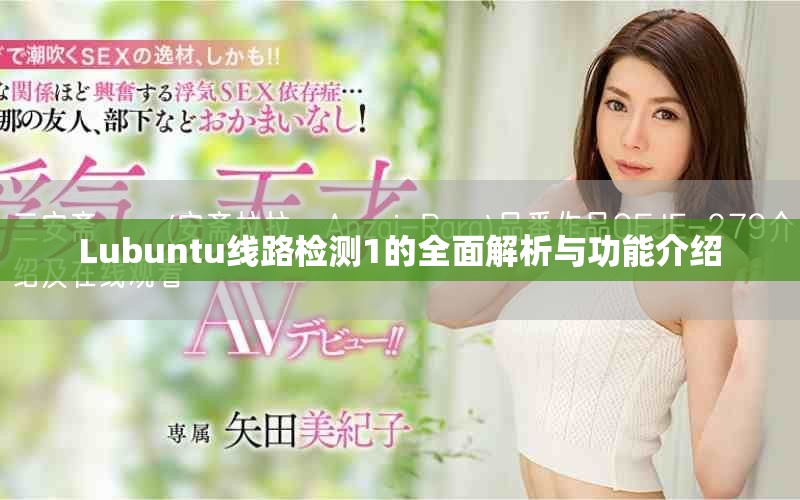 Lubuntu線路檢測1的全面解析與功能介紹