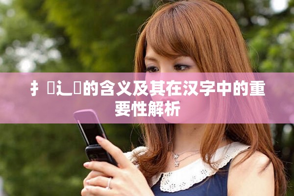 扌喿辶畐的含義及其在漢字中的重要性解析