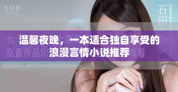 溫馨夜晚，一本適合獨自享受的浪漫言情小說推薦