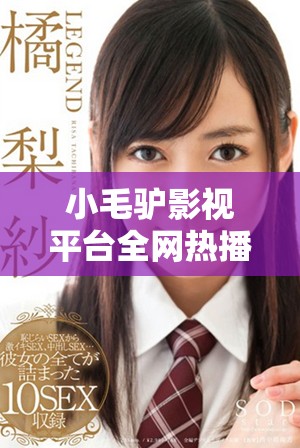 小毛驢影視平臺全網熱播精彩影片免費觀看
