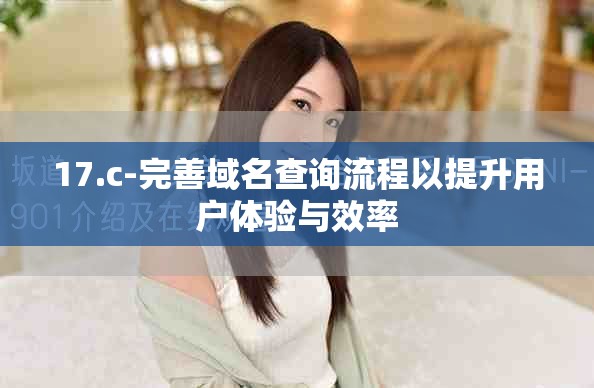 17.c-完善域名查詢流程以提升用戶體驗(yàn)與效率