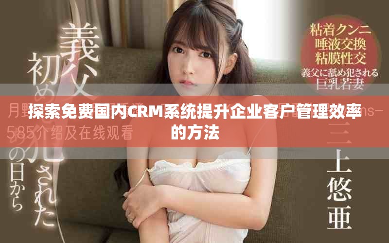 探索免費國內CRM系統提升企業客戶管理效率的方法