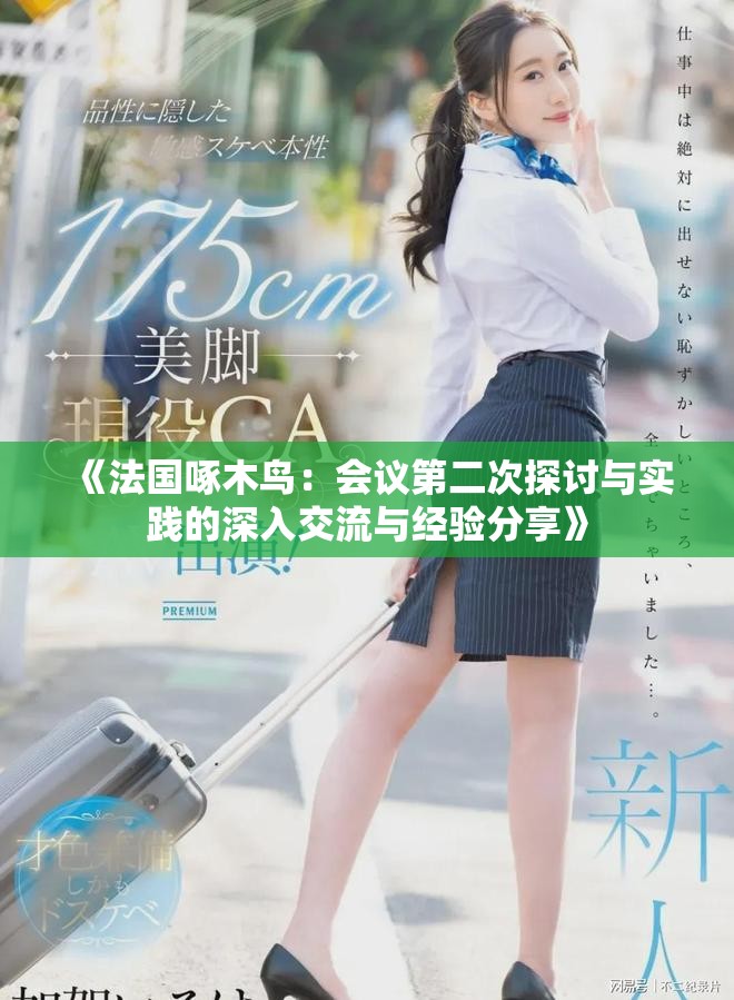 《法國啄木鳥：會議第二次探討與實踐的深入交流與經驗分享》