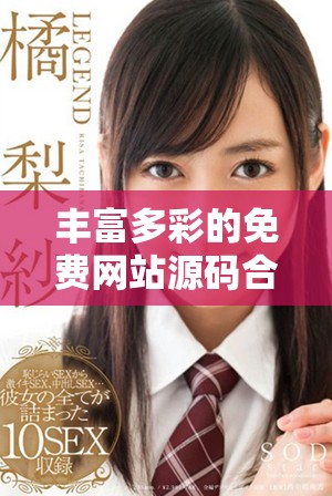 豐富多彩的免費網站源碼合集，助你輕松搭建個人網站